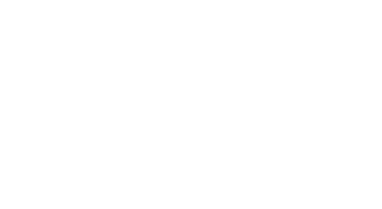 leon logo
